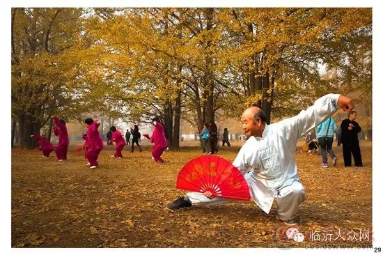 “新聞大廈杯”醉美銀杏林?jǐn)z影大賽獲獎(jiǎng)作品展示