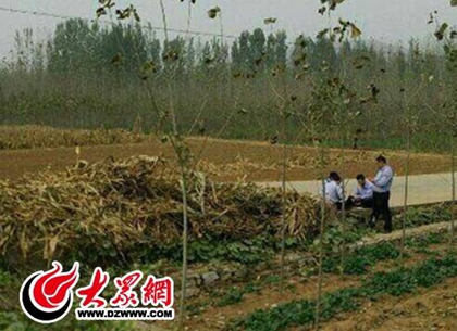 網(wǎng)曝平邑警察著警服路邊打牌 當(dāng)?shù)亟痪貞?yīng)稱是協(xié)警