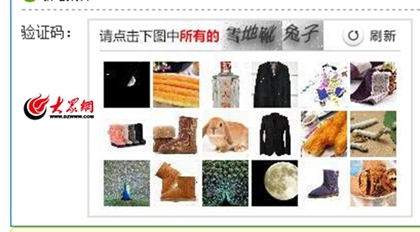 12306購(gòu)票驗(yàn)證碼把你繞暈了么？ 購(gòu)票人：眼力+知識(shí)=買(mǎi)到票