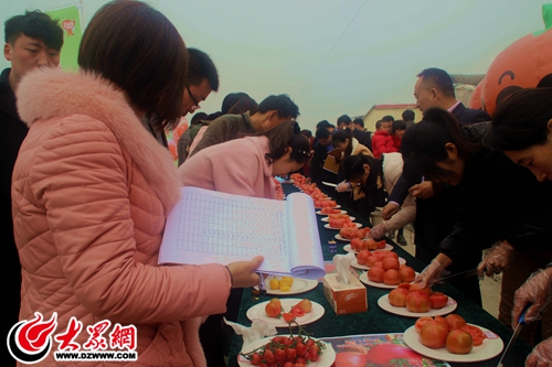 43個品種亮相胡陽鎮(zhèn)西紅柿品質擂臺賽
