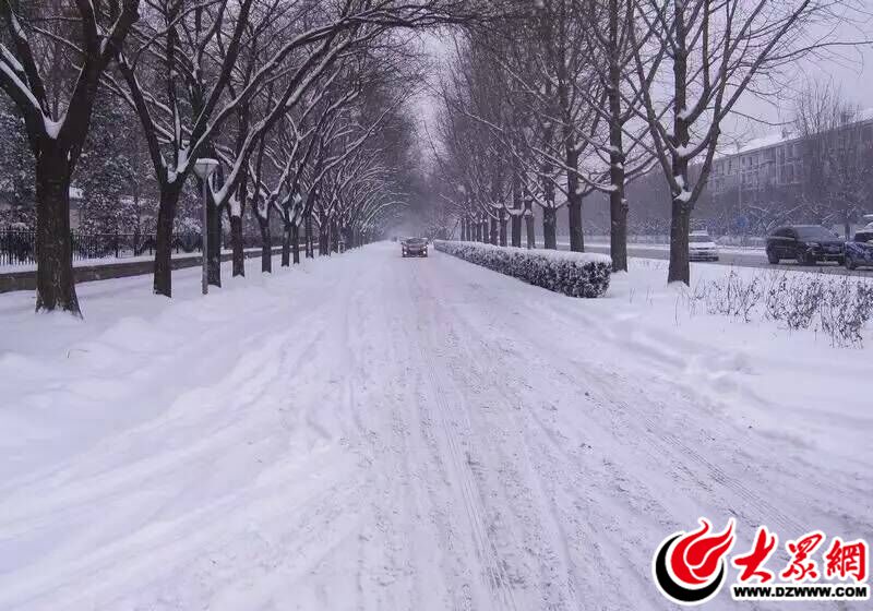 1、2015年11月24日，臨沂迎來了羊年的第一場雪，大雪的突降雖然給市民的出行帶來了許多不便，但是絲毫沒有影響到人們賞雪的心情。（大眾網(wǎng)記者 滿健 攝）.jpg