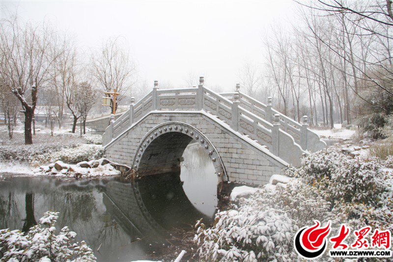 3、它們似梨花點點，縱橫交錯，織造出無邊帷幔，遮蔽了遠(yuǎn)望的視線，這些白色的精靈，越過了三季色，終于翩翩降臨了——臨沂的第一場雪。（大眾網(wǎng)記者 滿健 攝）.jpg