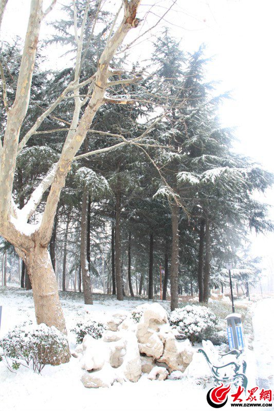 5、久沒有這樣舒暢過，張開雙臂擁抱初雪的清晨，心中一片澄明，搖一搖，雪花亂顫。滿眼的世界——極亮、極明、極干凈。（大眾網(wǎng)記者 滿健 攝）.jpg