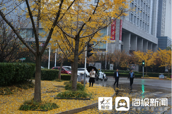 立冬后第一場(chǎng)雨！臨沂美爆了（組圖）97.png