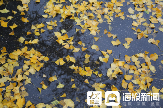 立冬后第一場(chǎng)雨！臨沂美爆了（組圖）101.png