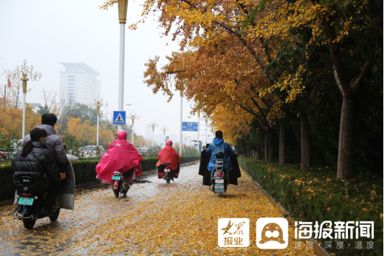 立冬后第一場(chǎng)雨！臨沂美爆了（組圖）103.png