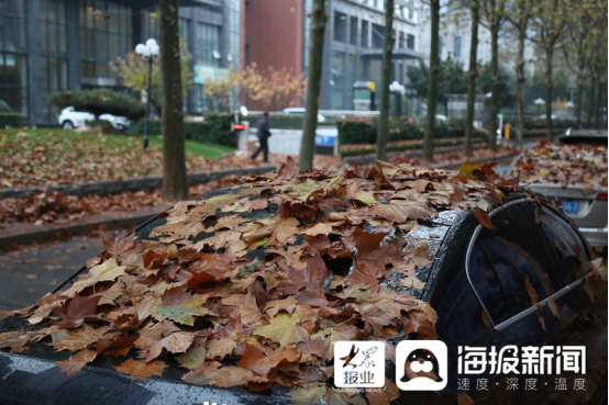 立冬后第一場(chǎng)雨！臨沂美爆了（組圖）107.png