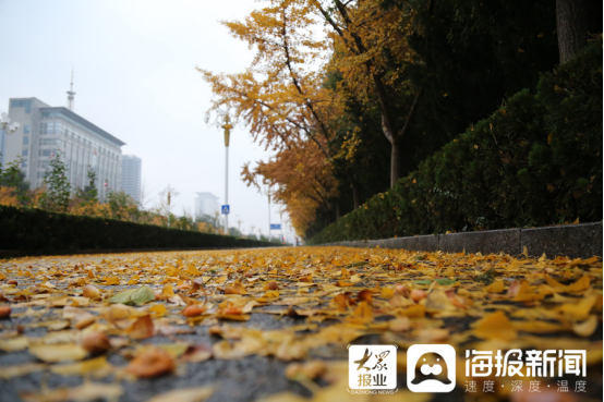 立冬后第一場(chǎng)雨！臨沂美爆了（組圖）110.png