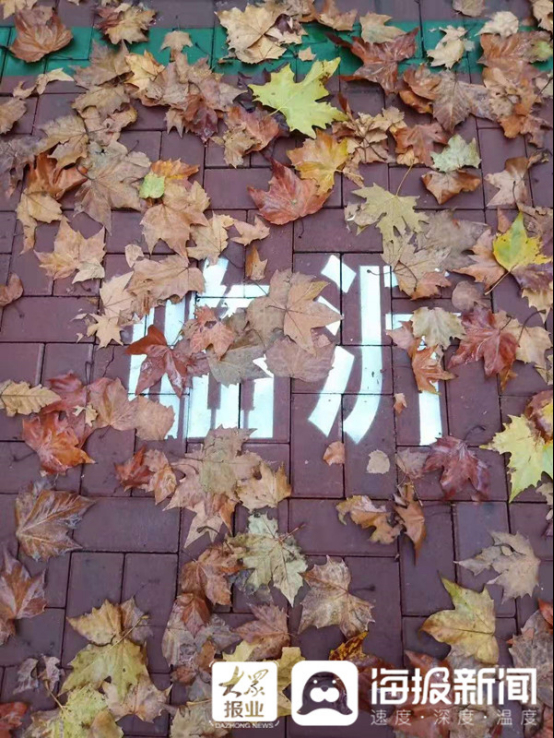 立冬后第一場(chǎng)雨！臨沂美爆了（組圖）93.jpg